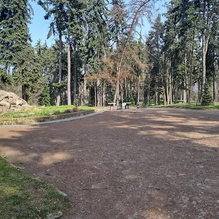 Na Saskiej Kepie