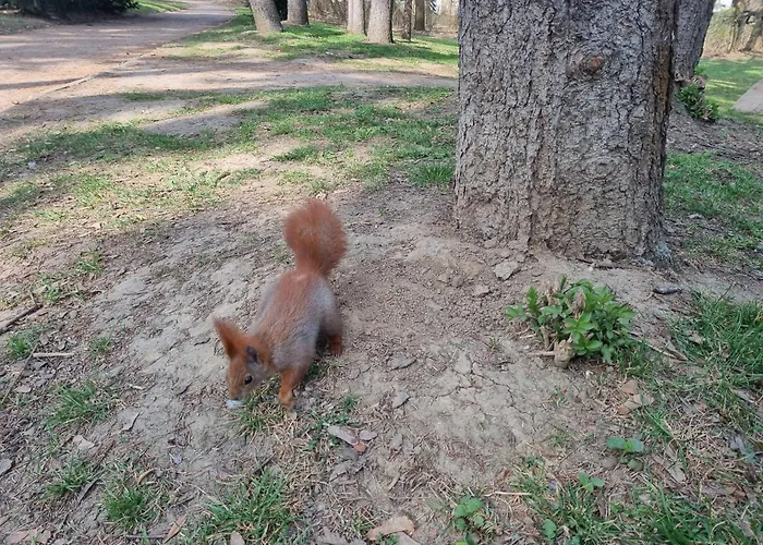 Na Saskiej Kepie Apartment