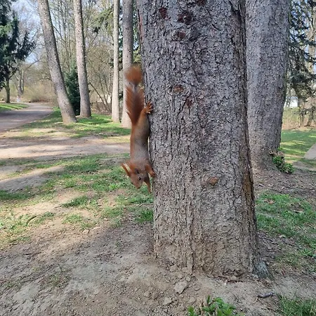 Na Saskiej Kepie Appartement Warschau