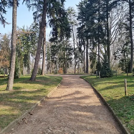 Na Saskiej Kepie *